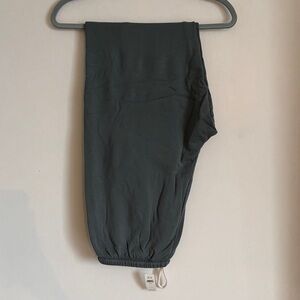 Aerie Pants-Sage Green